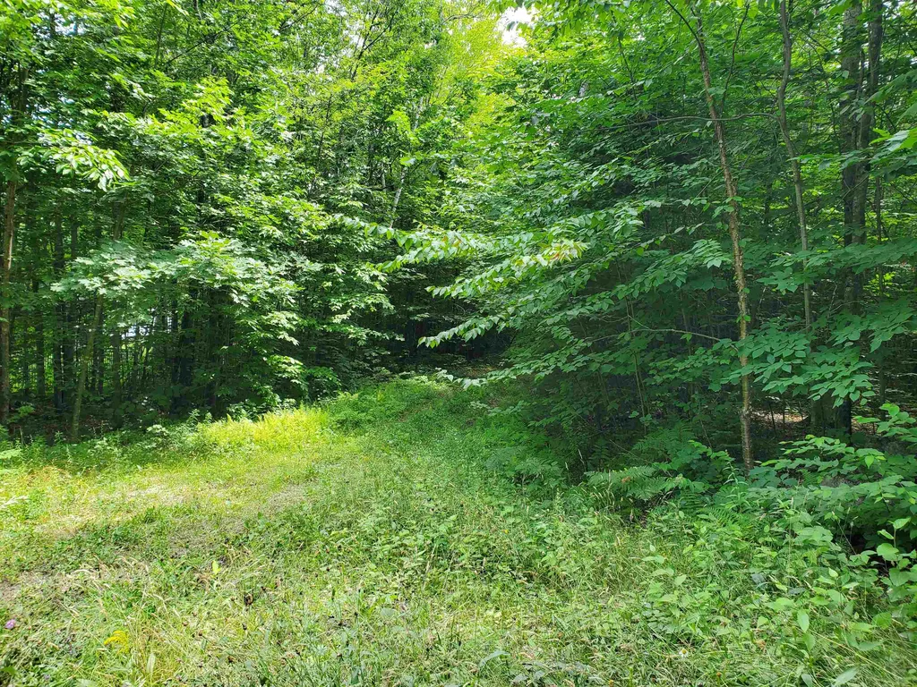 0 Fernwood Farms Road Canaan NH 03741