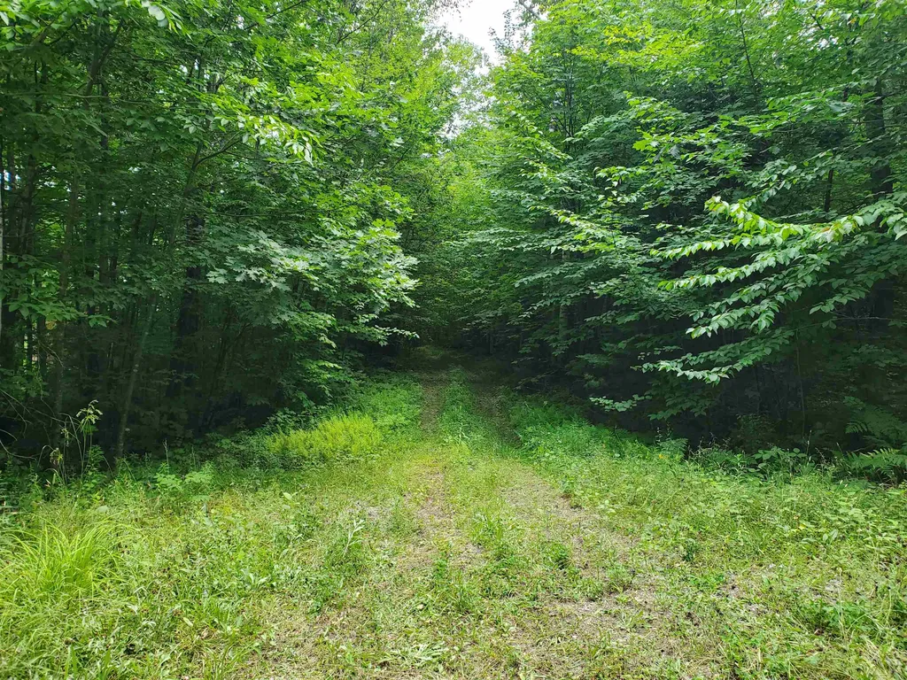 0 Fernwood Farms Road Canaan NH 03741