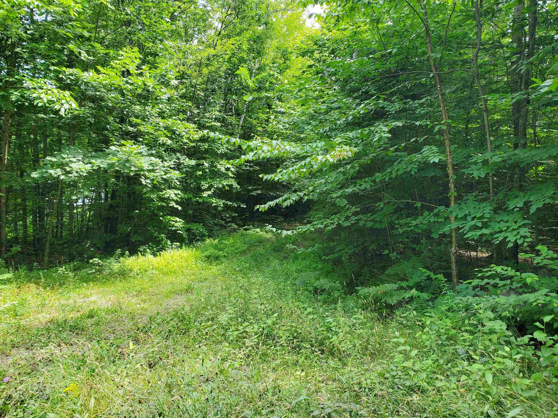 0 Fernwood Farms Road Canaan NH 03741