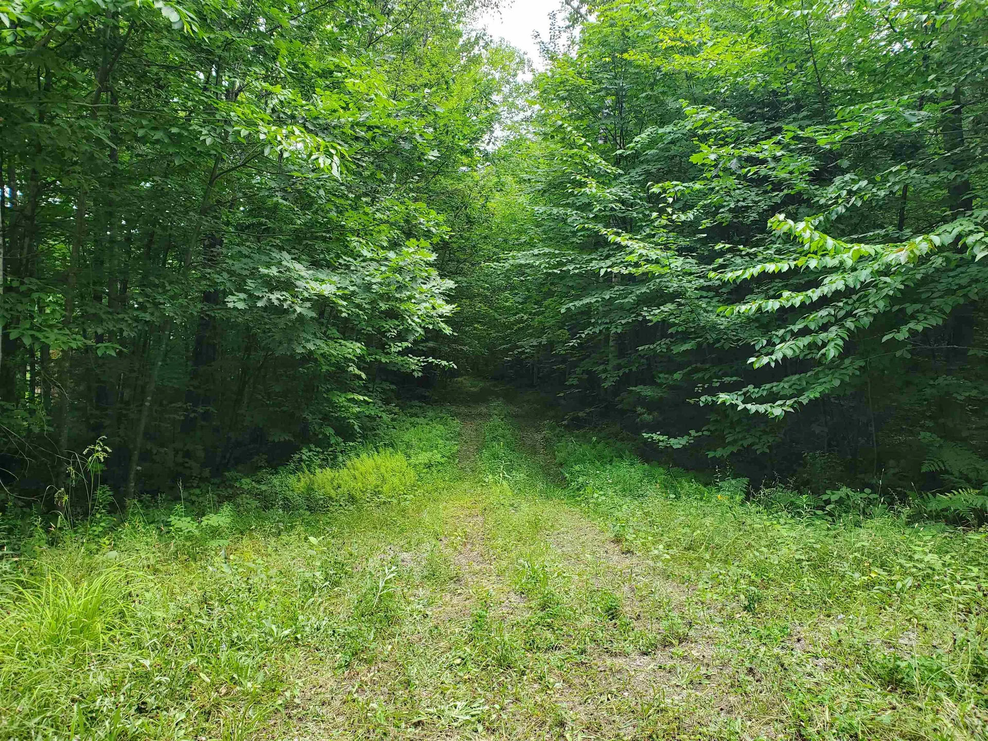 0 Fernwood Farms Road Canaan NH 03741