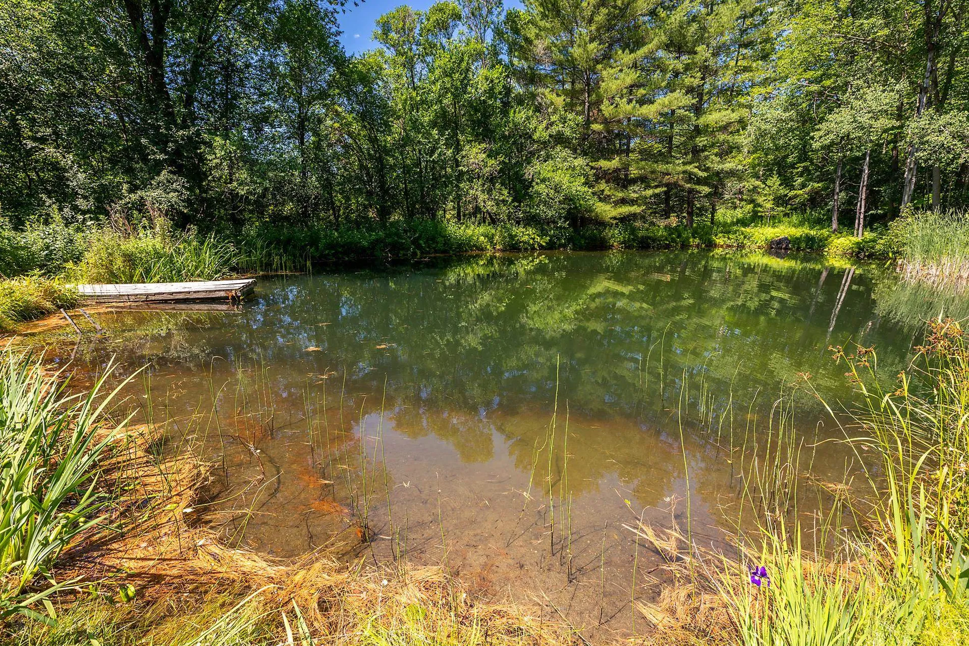 273 Liberty Farm Road Woodstock VT 05091