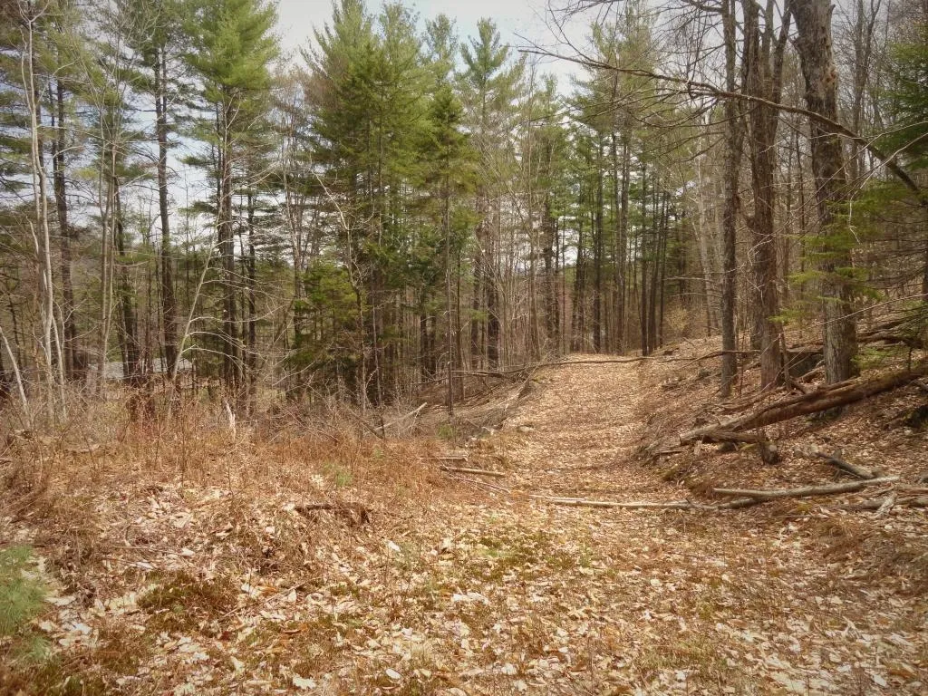 Lot 1 Cass Mill Road Alexandria NH 03222
