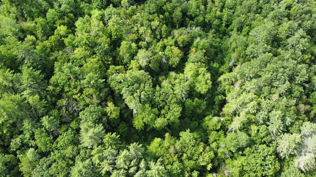 Lot 1 Cass Mill Road Alexandria NH 03222