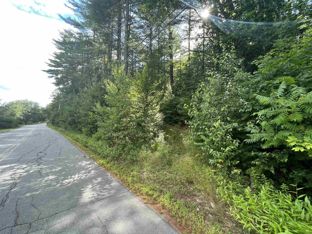 Lot 1 Cass Mill Road Alexandria NH 03222