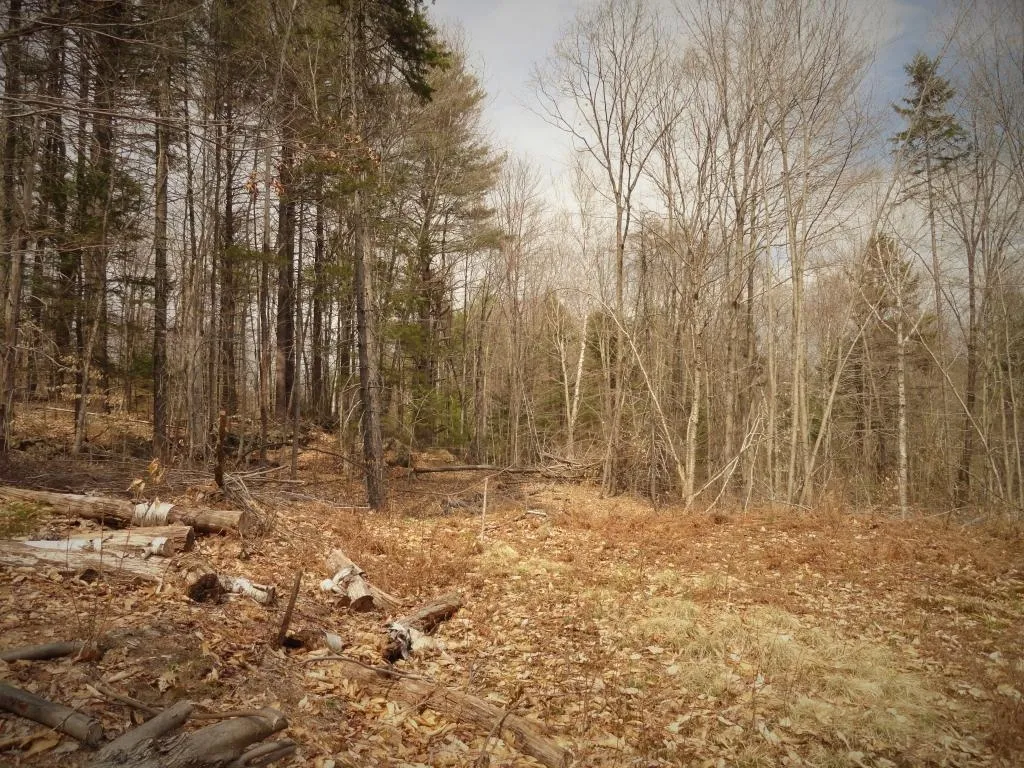 Lot 1 Cass Mill Road Alexandria NH 03222