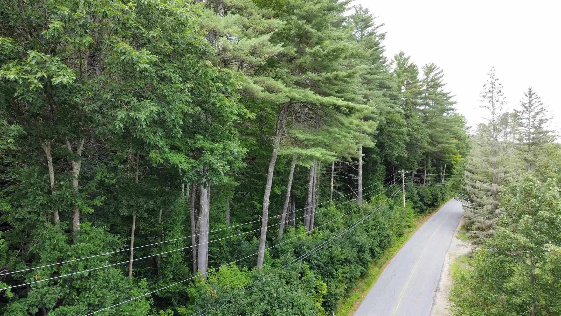 Lot 1 Cass Mill Road Alexandria NH 03222