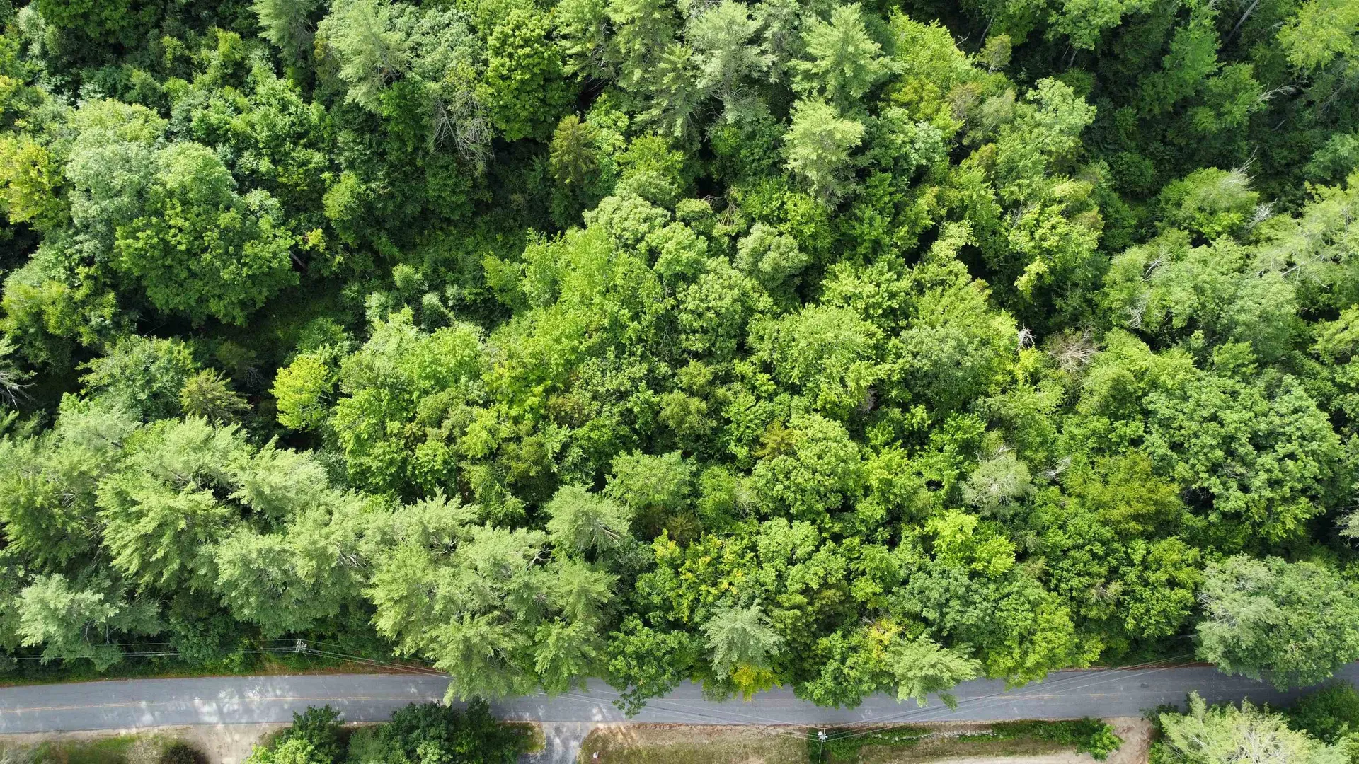 Lot 1 Cass Mill Road Alexandria NH 03222
