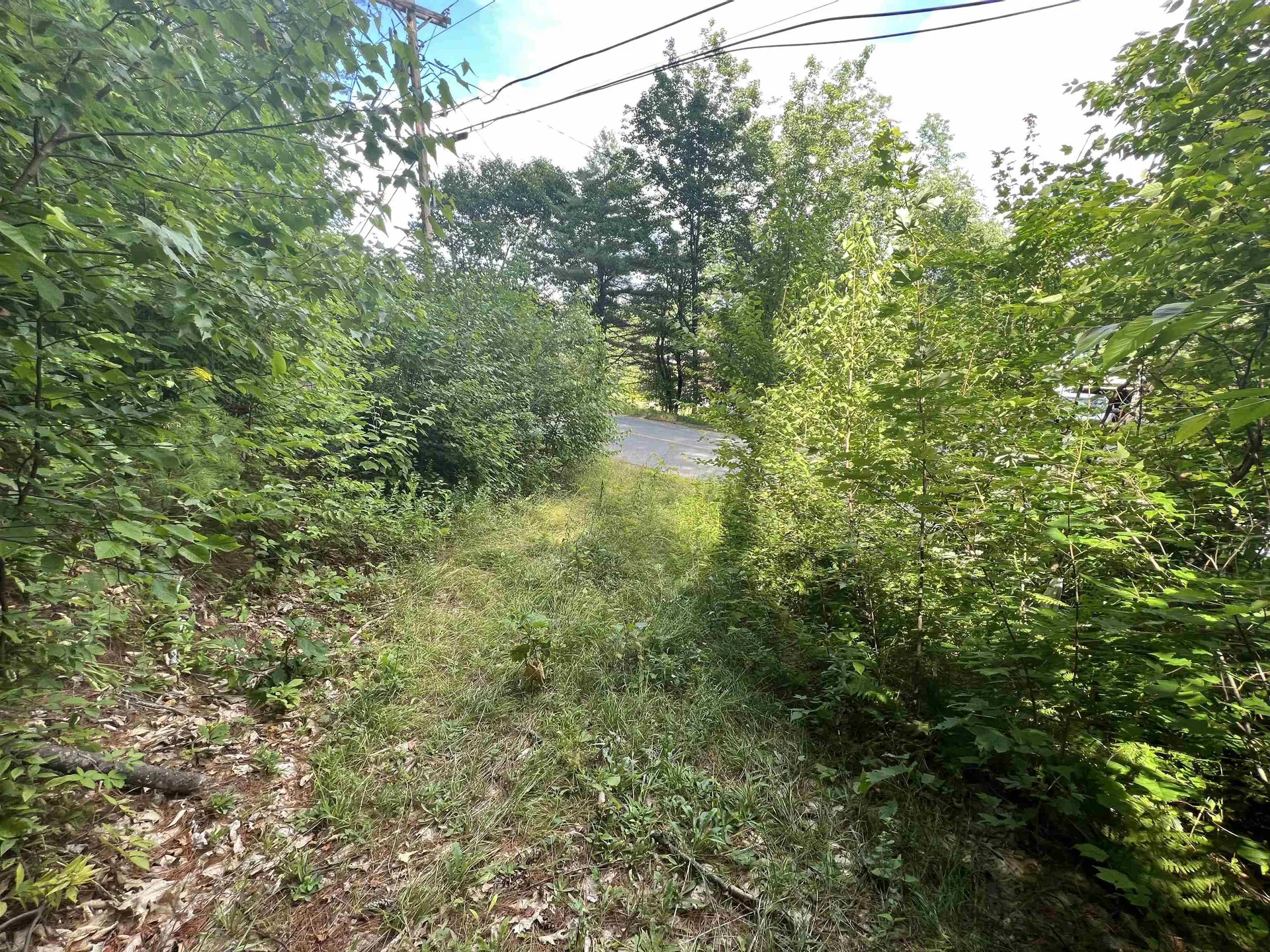 Lot 1 Cass Mill Road Alexandria NH 03222