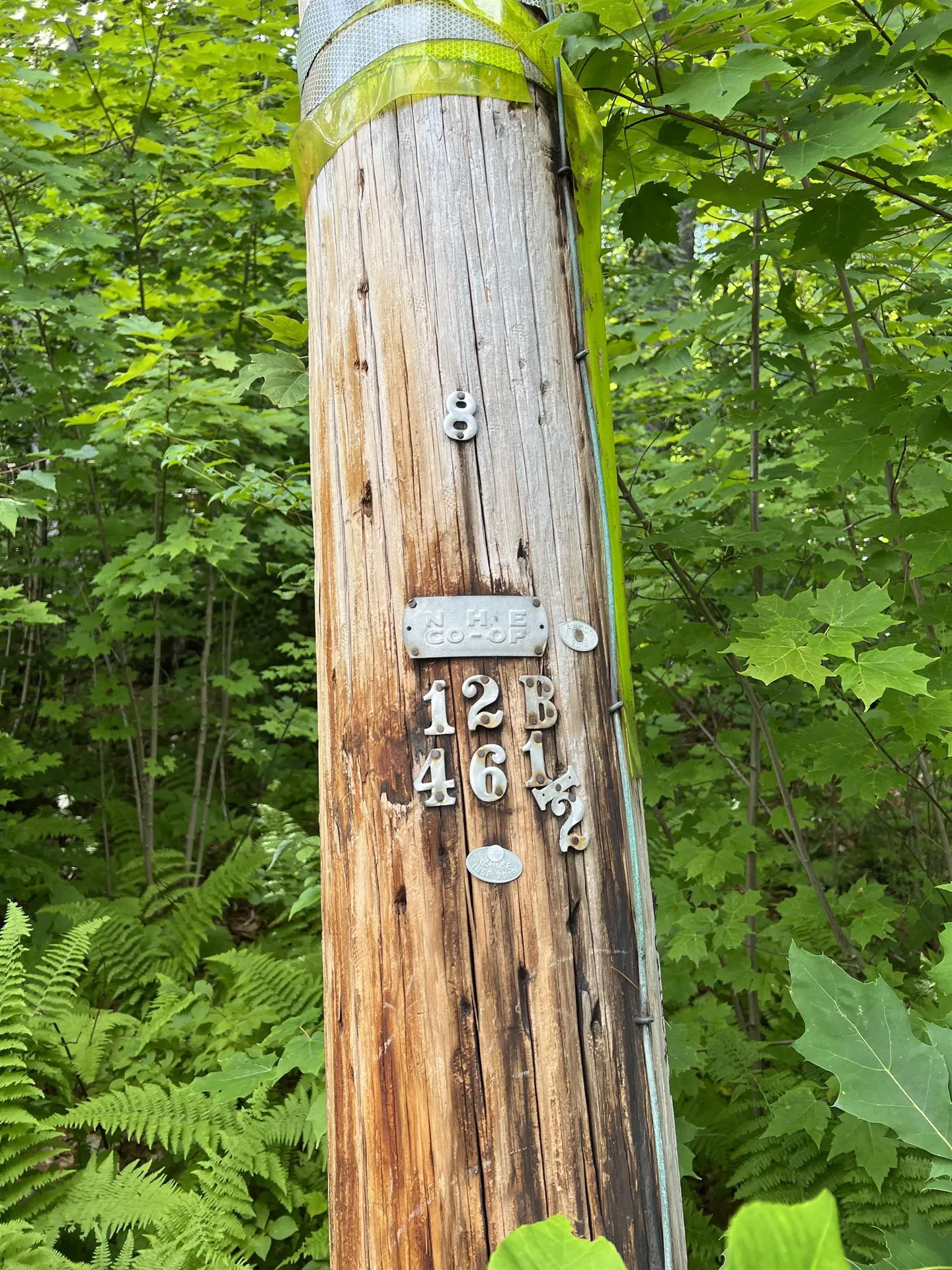 Lot 1 Cass Mill Road Alexandria NH 03222