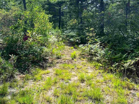 00 Pequawket Trail Freedom NH 03836