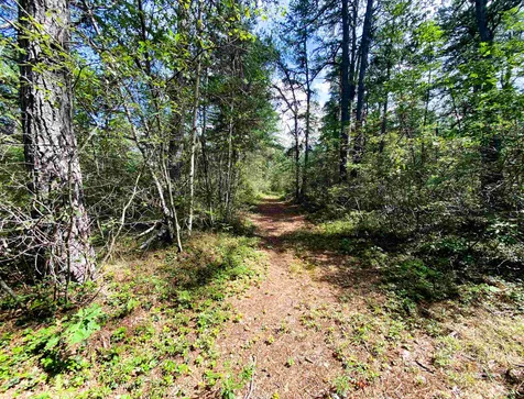 00 Pequawket Trail Freedom NH 03836
