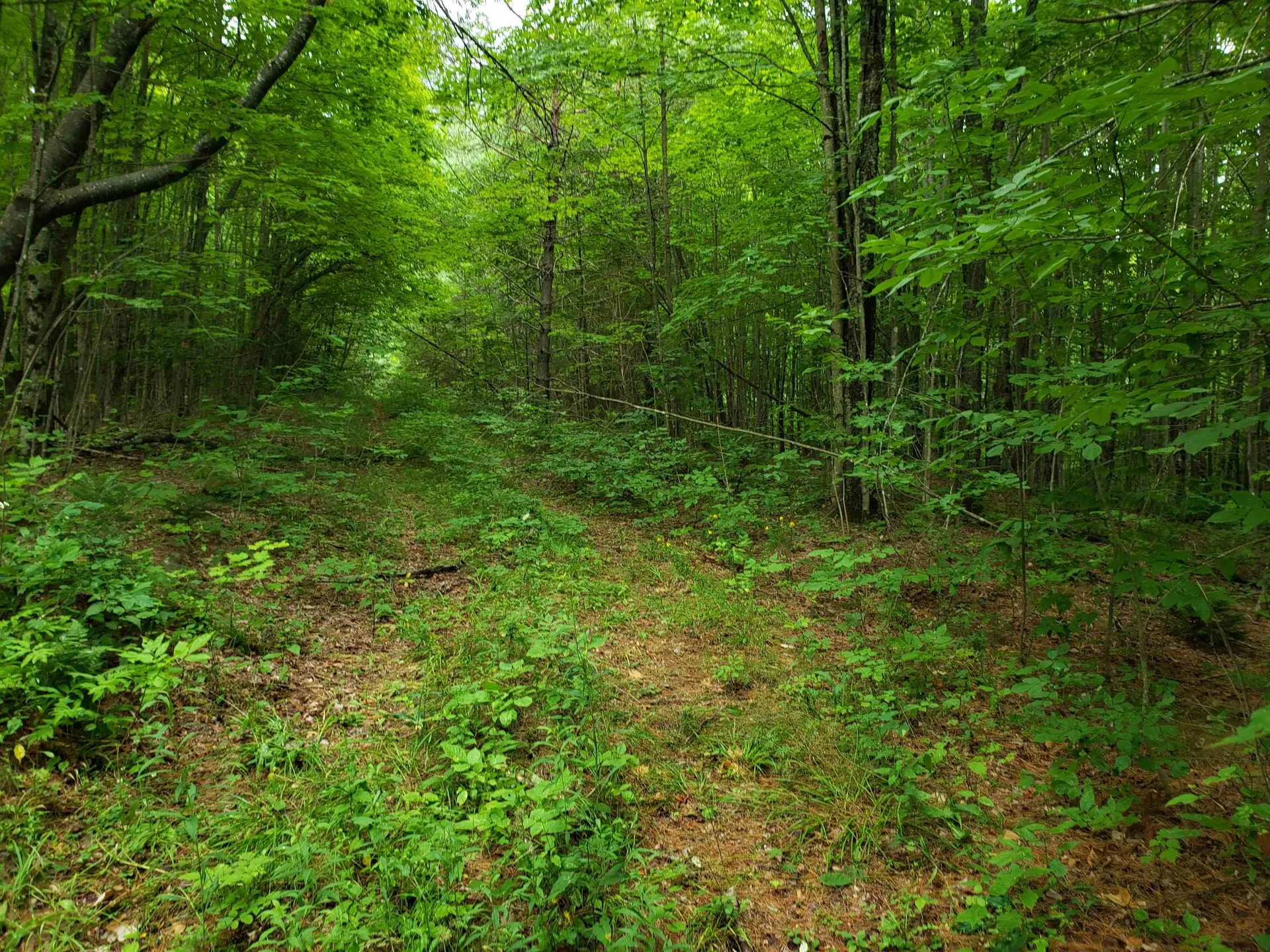 00 Fuller Road Newbury VT 05051