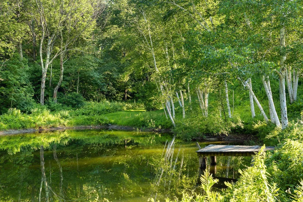 1092 Nichols Hill Road Dorset VT 05251