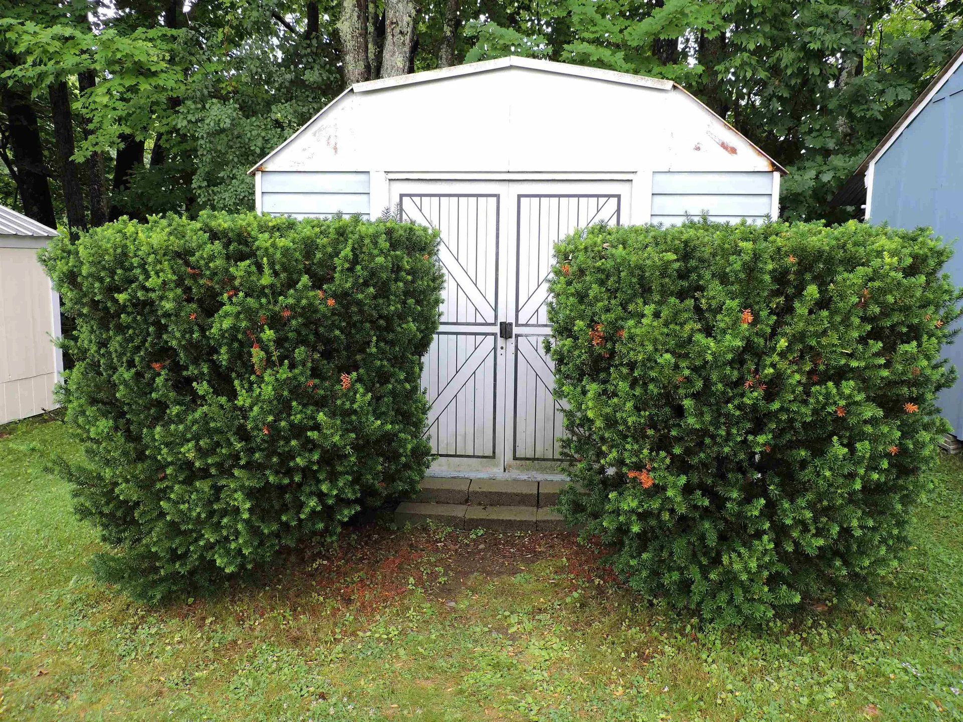 37 Cogswell Way Enfield NH 03748