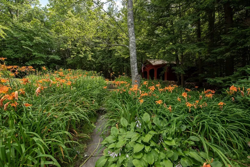 291 Deer Path Lane Bridgewater NH 03222