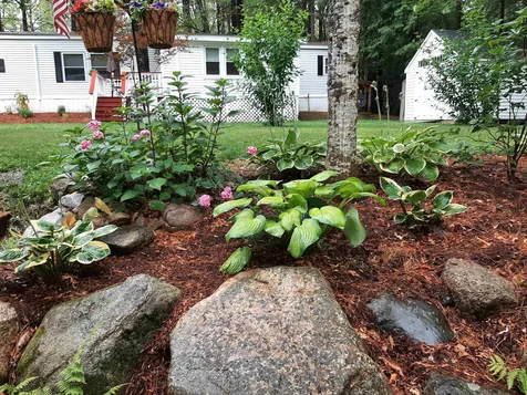 62 Loon Mountain Lane Conway NH 03813