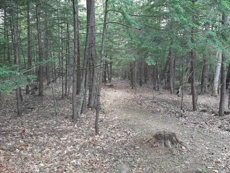62 Loon Mountain Lane Conway NH 03813
