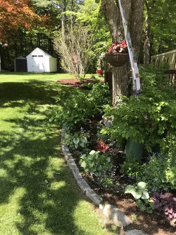 62 Loon Mountain Lane Conway NH 03813