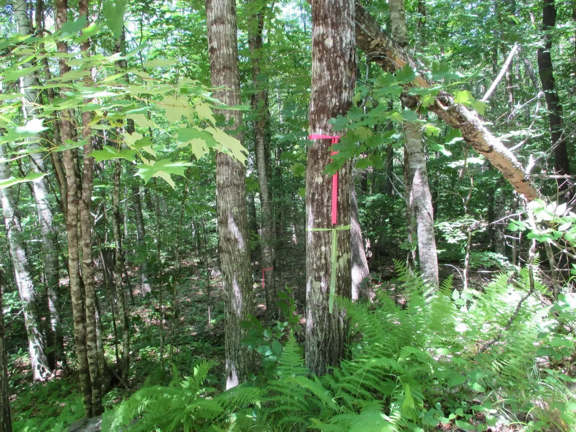 0 Skiway Terrace Haverhill NH 03785