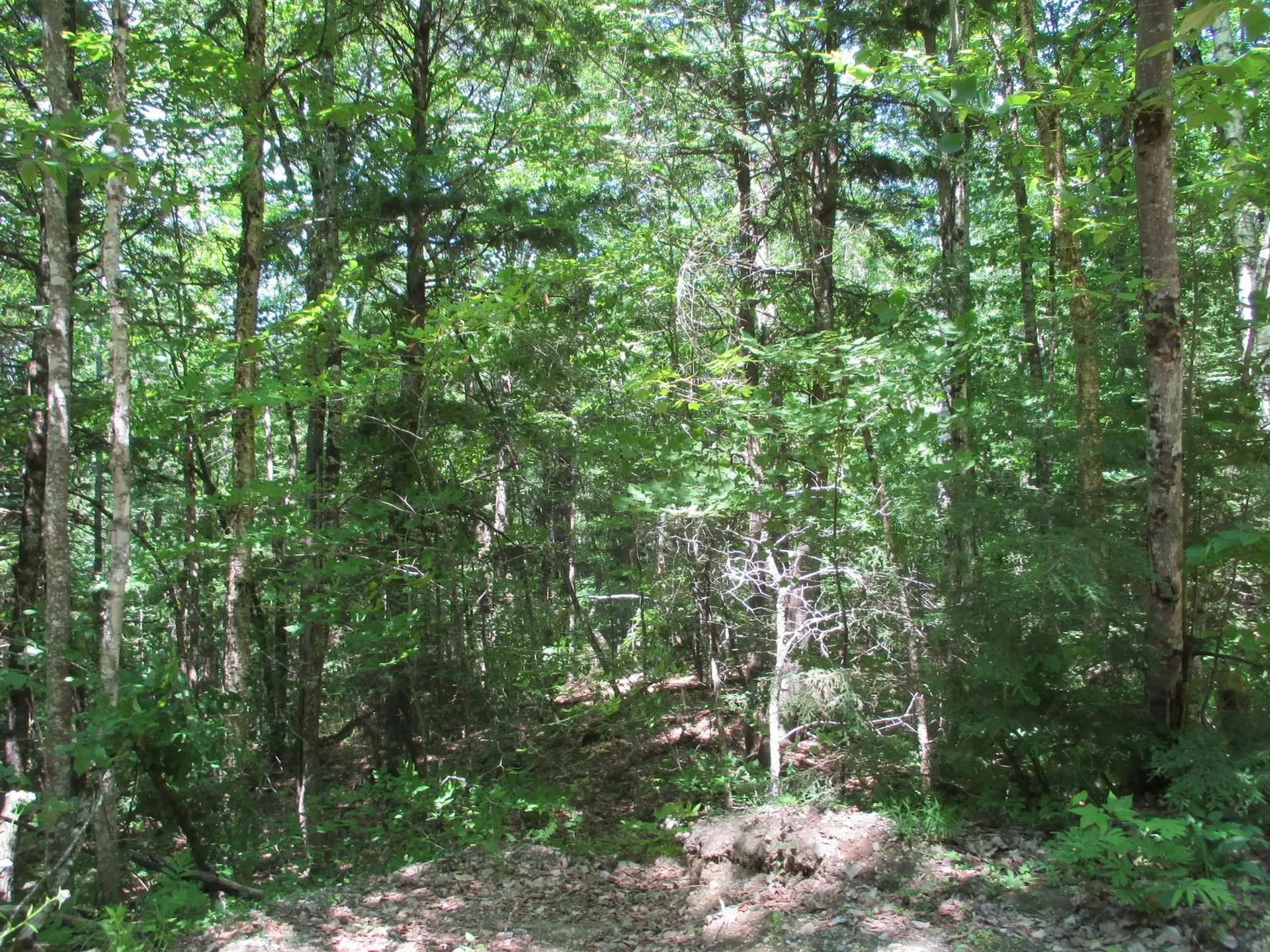 0 Skiway Terrace Haverhill NH 03785