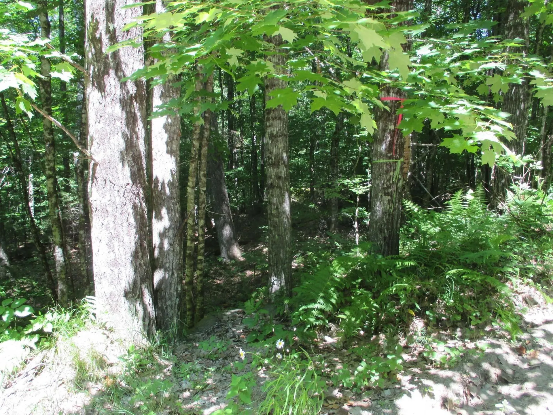 0 Skiway Terrace Haverhill NH 03785