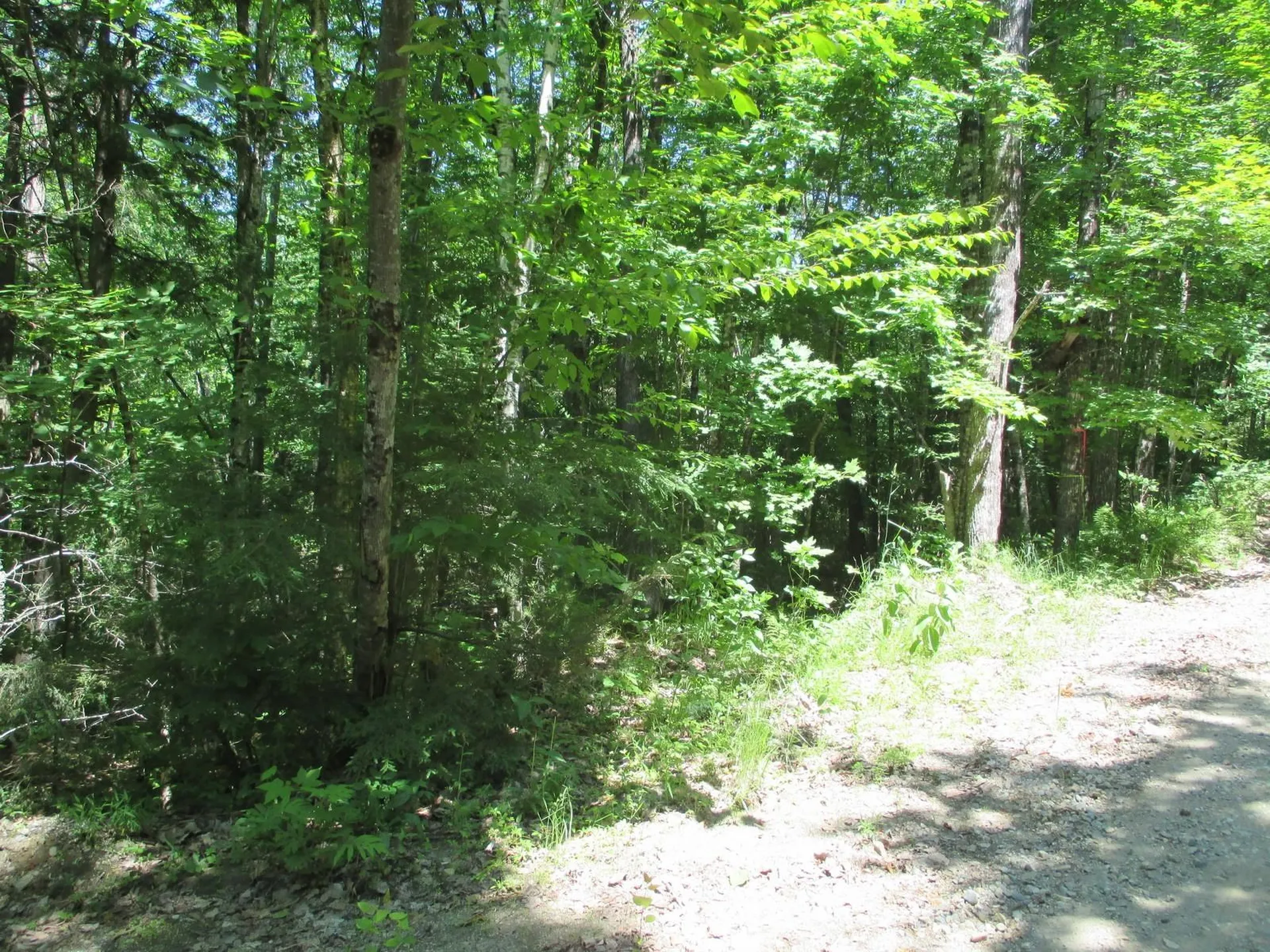 0 Skiway Terrace Haverhill NH 03785