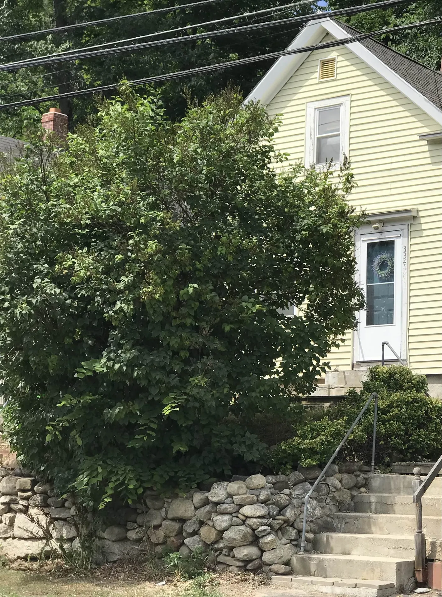 334 Main Street Wilton NH 03086