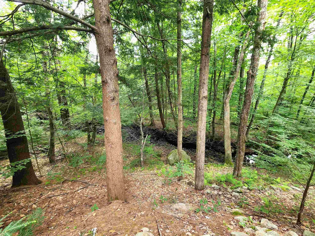 131 Flowing Brook Road Farmington NH 03835