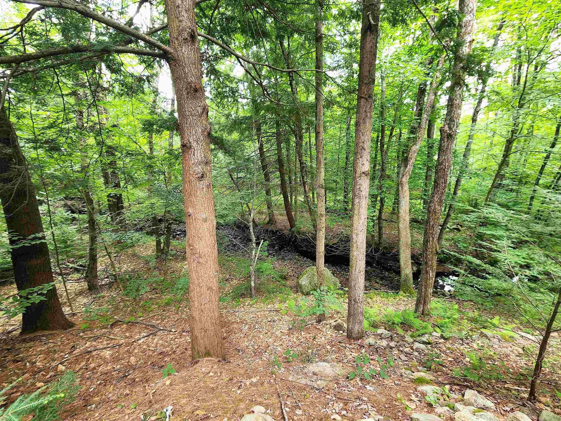 131 Flowing Brook Road Farmington NH 03835