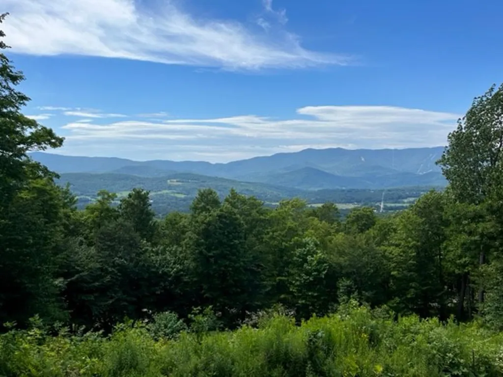 1750 Roxbury Mountain Road Warren VT 05674