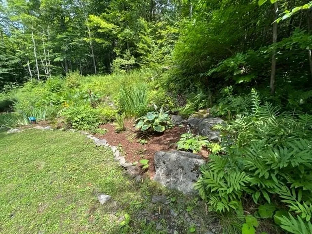 1750 Roxbury Mountain Road Warren VT 05674