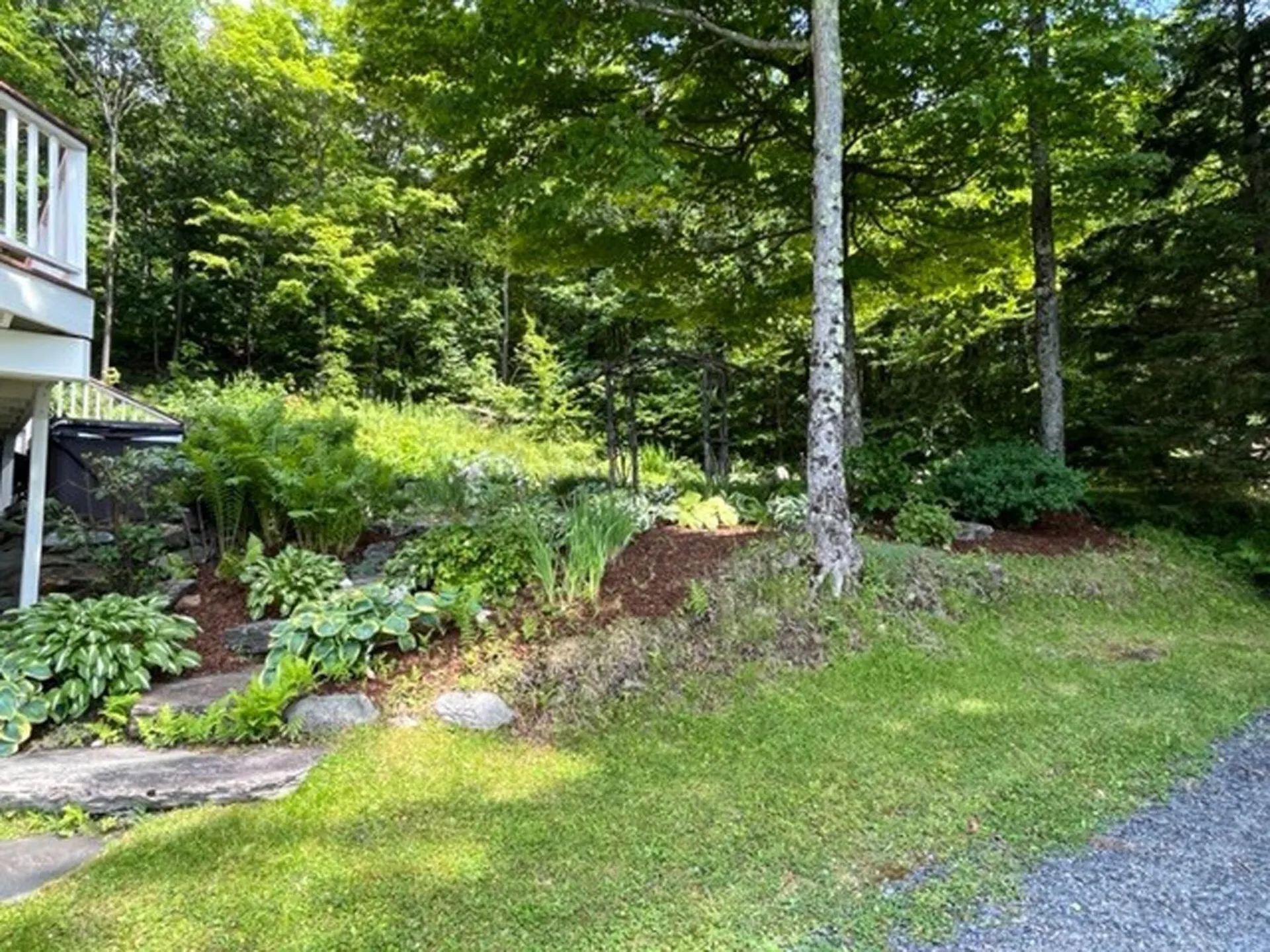 1750 Roxbury Mountain Road Warren VT 05674