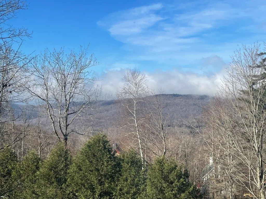 233 Thacher Road Bolton VT 05477