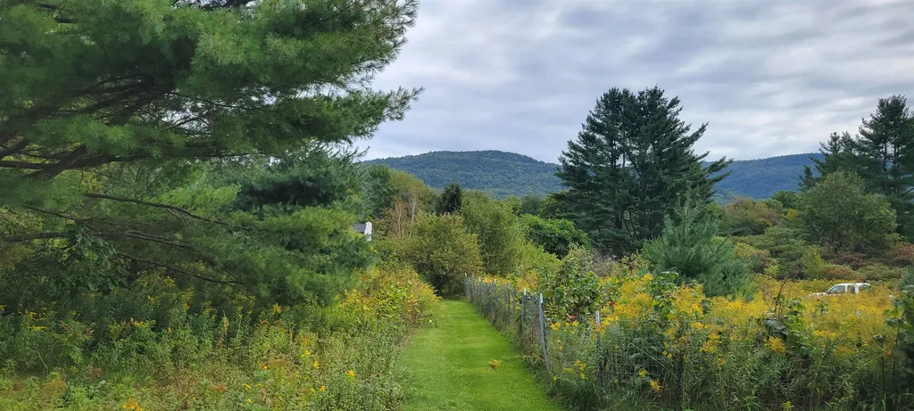 216 Village Street Dorset VT 05253