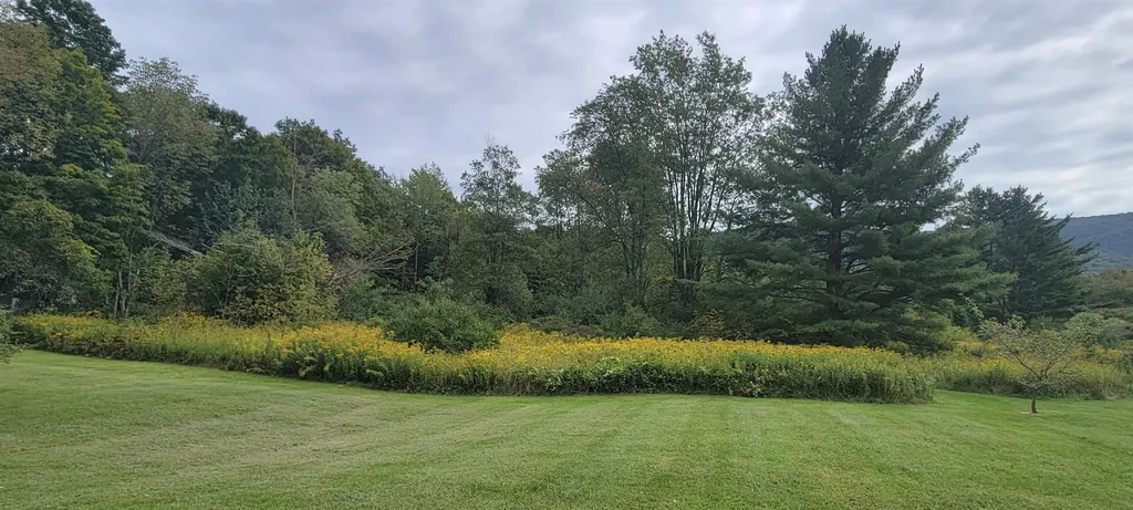 216 Village Street Dorset VT 05253