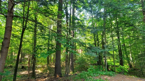 13b Crawford Pines Road Bartlett NH 03812
