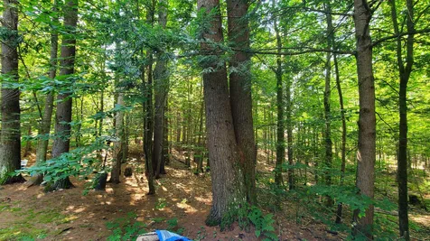 13b Crawford Pines Road Bartlett NH 03812