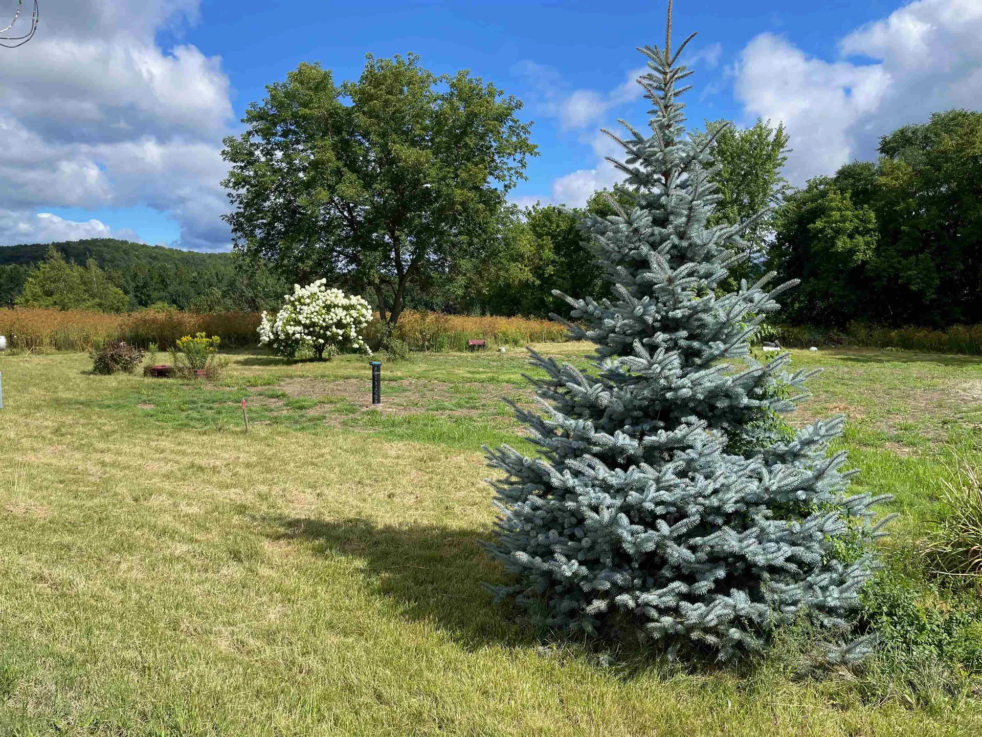 242 Cove Road Bristol VT 05443