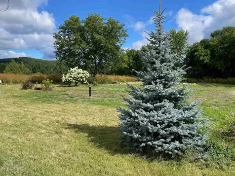 242 Cove Road Bristol VT 05443