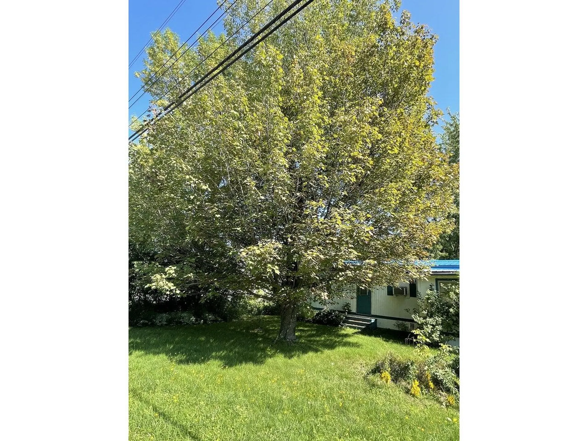1324 Lower Newton Road St. Albans Town VT 05478