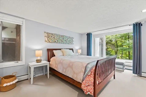 86 Turkey Run Road Winhall VT 05340