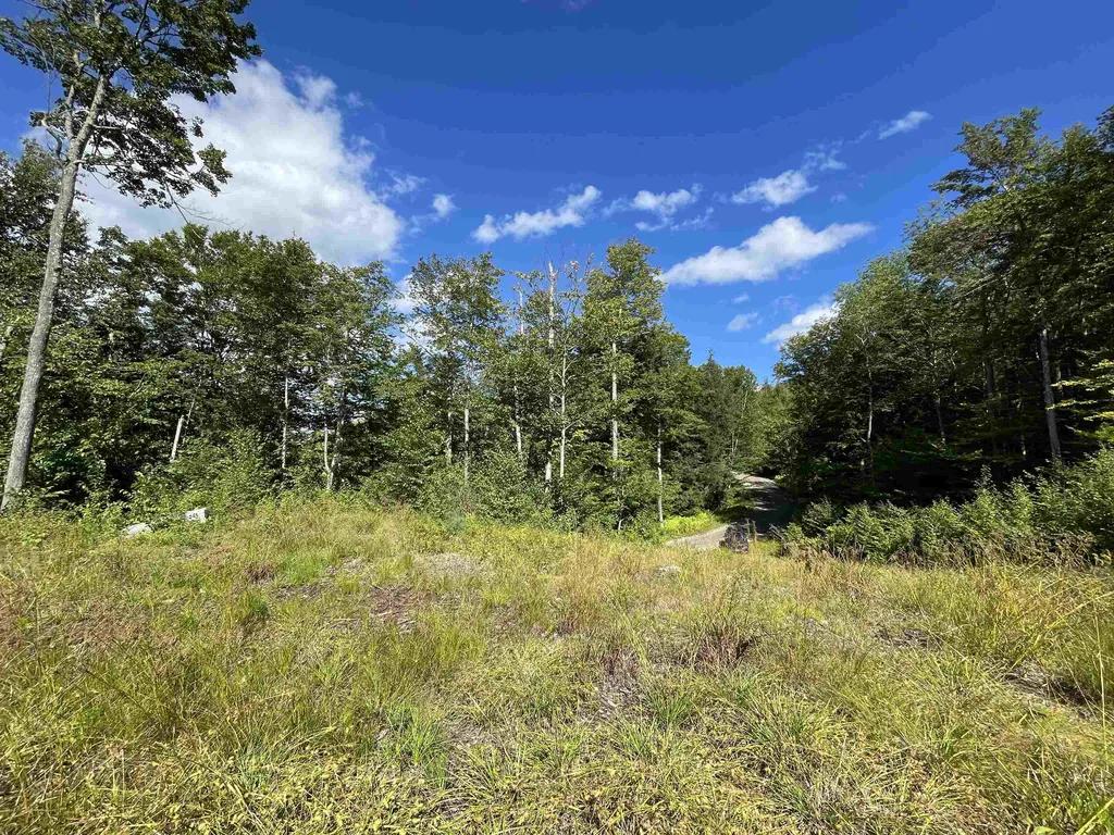 0 Whitaker Farm Road Marlboro VT 05344