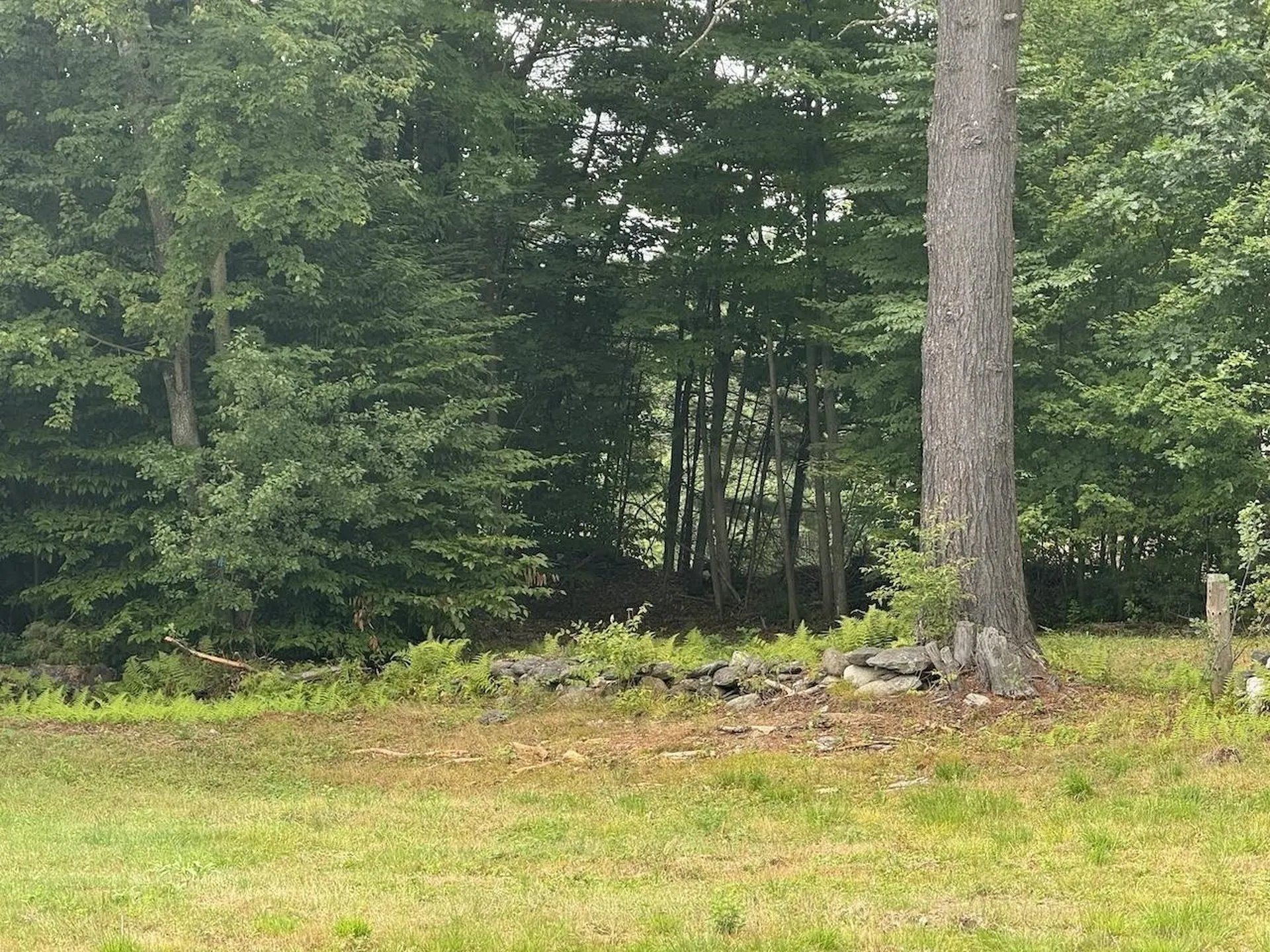 Stow Drive Chesterfield NH 03466