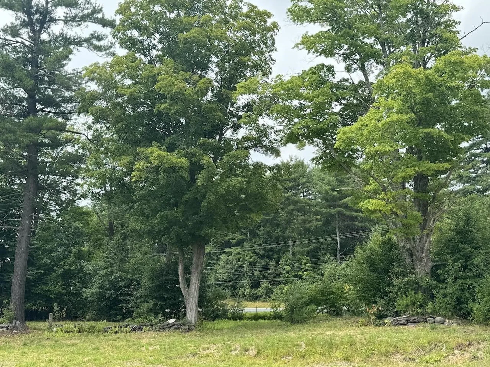 Stow Drive Chesterfield NH 03466