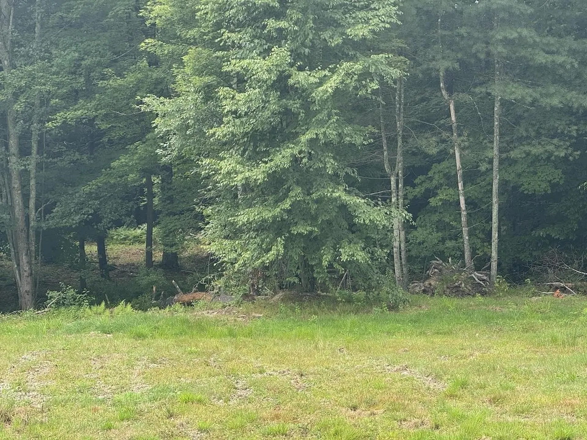 Stow Drive Chesterfield NH 03466