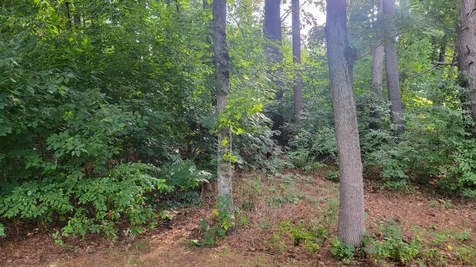 5 Ponderosa Avenue Nashua NH 03062