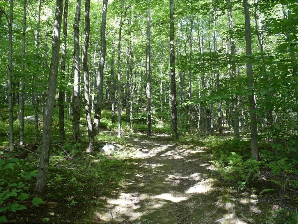 459 Pleasant Valley Road Underhill VT 05490