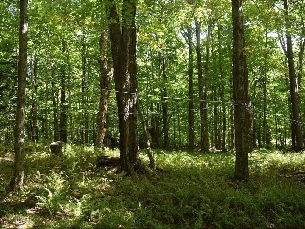 459 Pleasant Valley Road Underhill VT 05490