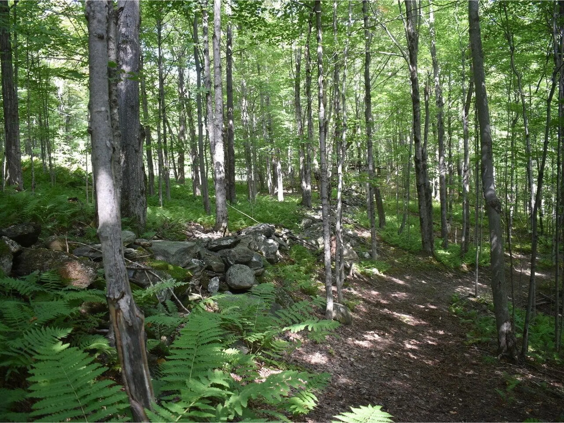 459 Pleasant Valley Road Underhill VT 05490