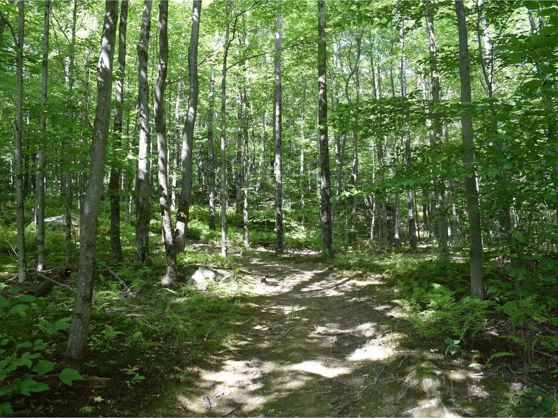 459 Pleasant Valley Road Underhill VT 05490